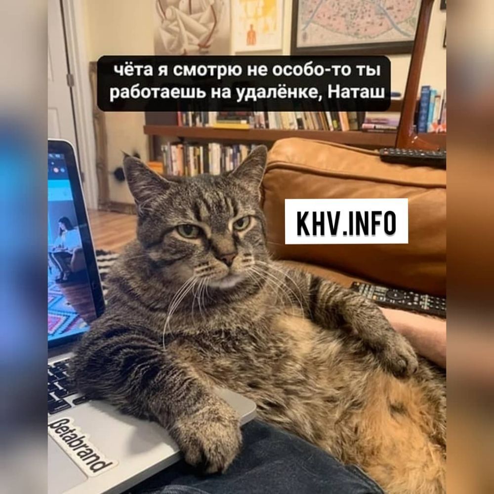 чёта я смотрю не особо то ты работаешь на удалёнке Наташ ЧШ ад 5