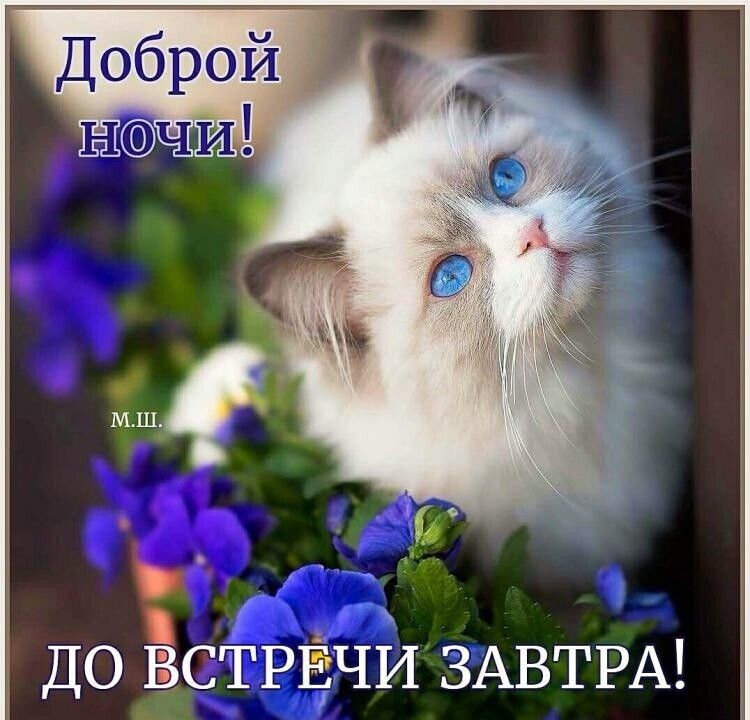 ДО ВСТРЕЧИ ЗАВТРА