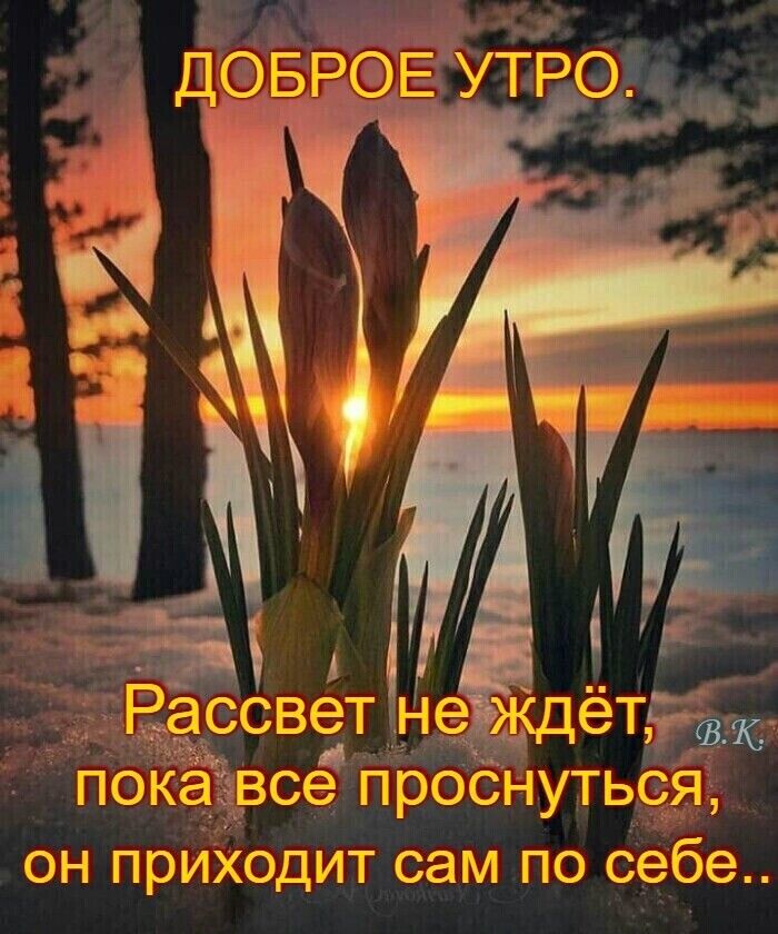 ассветнеждет к покаёвсе проСНуться он прИХодит сам по себе