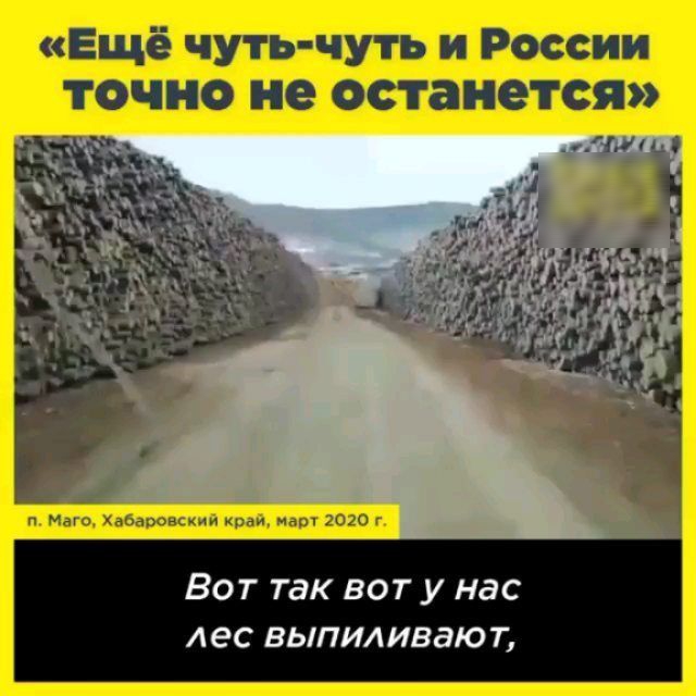 Вот так воту нас лес выпиливают