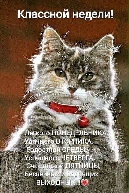 Классной недели