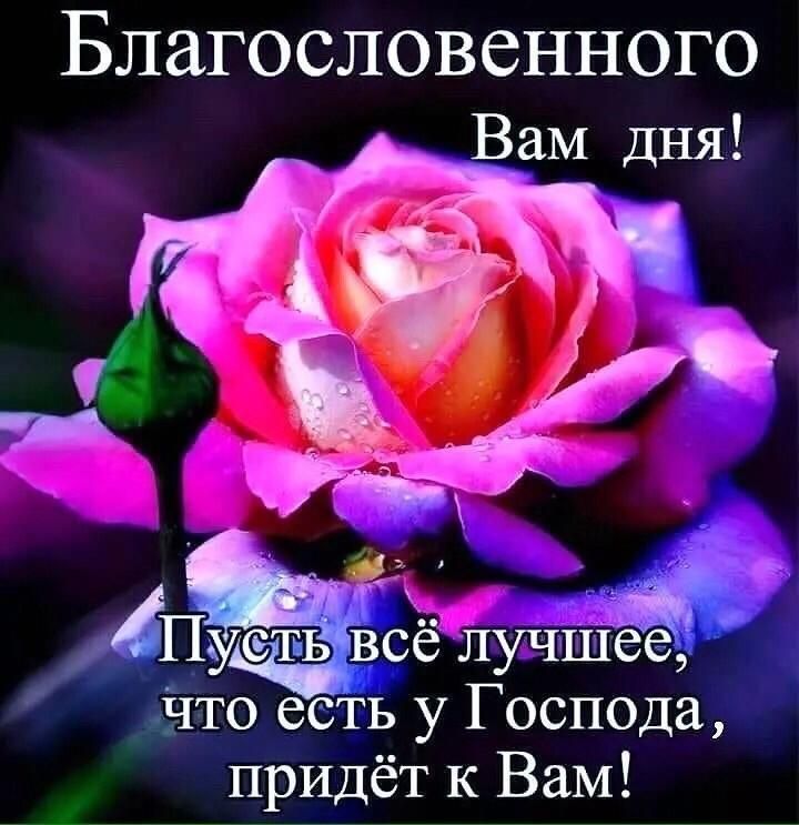 Благословенного Вам дня у Пусть всё лучшёё то есть у Господа придёт к Вам