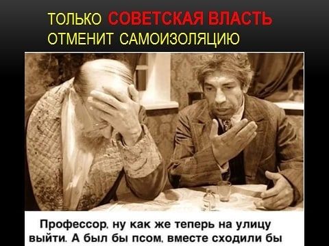 ТОПЬКО ОТМЕНИТ САМОИЗОПЯЦИЮ Профессор ну как же теперь на улицу выйти А был бы пвпм вместе сходили бы