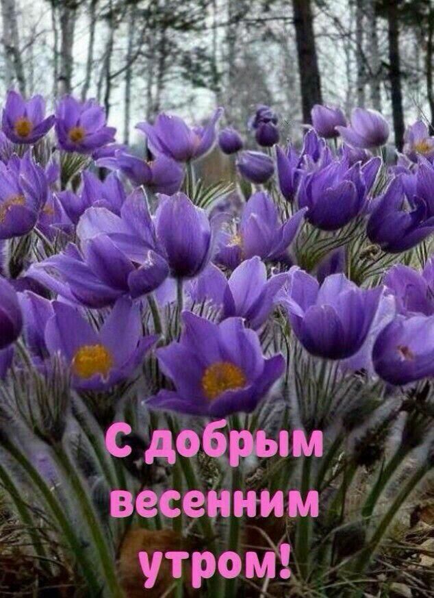г 331 весенним