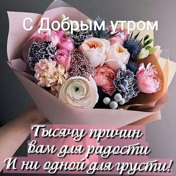 ддт м гриппу