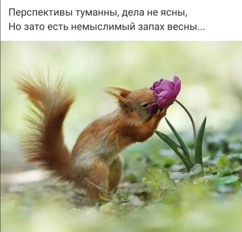 Перспективы туманны дела не ясны Но зато есть немыслимый запах весны
