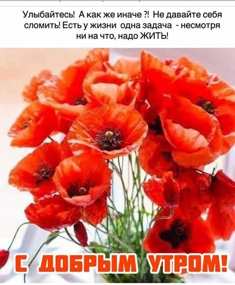 Улыбайтесь А как же иначе Не давайте себя сломиты Есть у жизни одна задача несмотря ни на что надо ЖИТЬ
