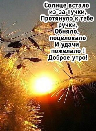 йгзддуч Протянудріііебе