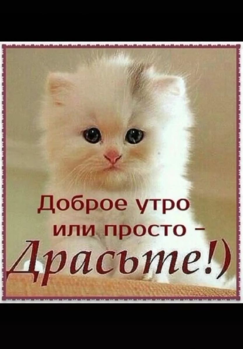 Доброе ТРО ини просто Драсъте