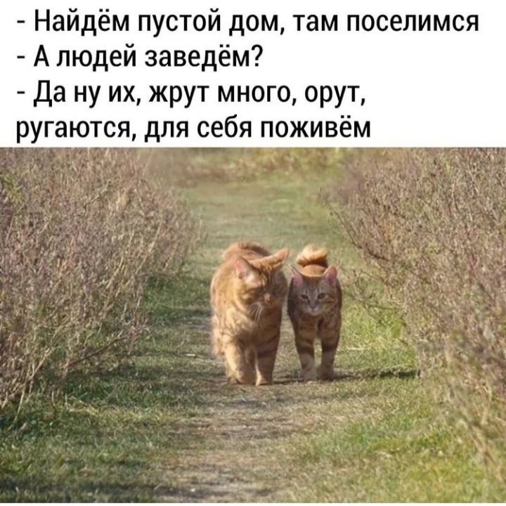 Найдём пустой дом там поселимся А людей заведём Да ну их жрут много орут ругаются для себя поживём