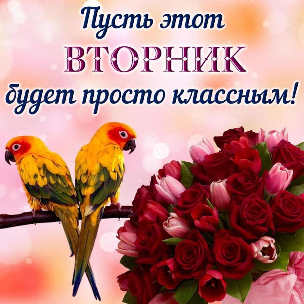 Пусть этот ВТРНИК будет просто классным
