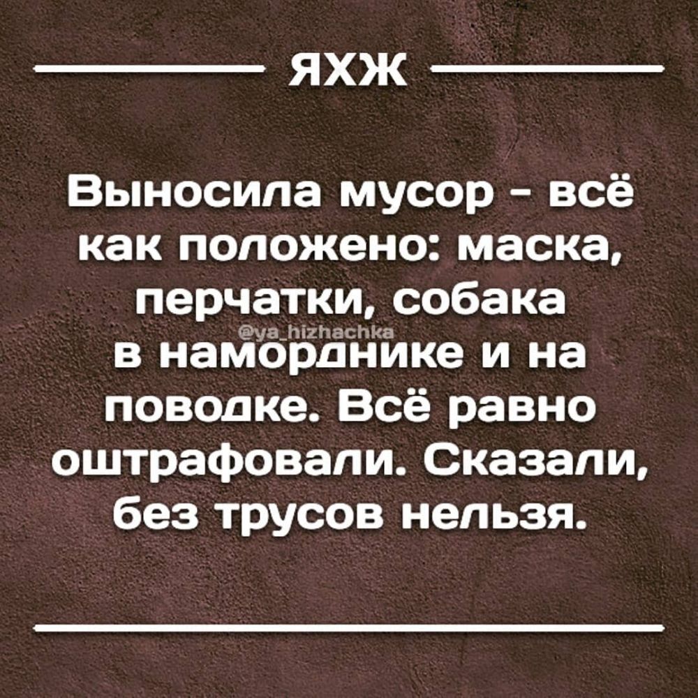 ЯХЖ Выносипа мусор всё как положено маска перчатки собака в напЁЁЁЁЁйке и на поводке Всё равно оштрафовали Сказали без трусов нельзя