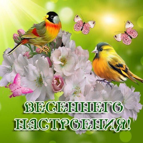 впасеэчвакышнё