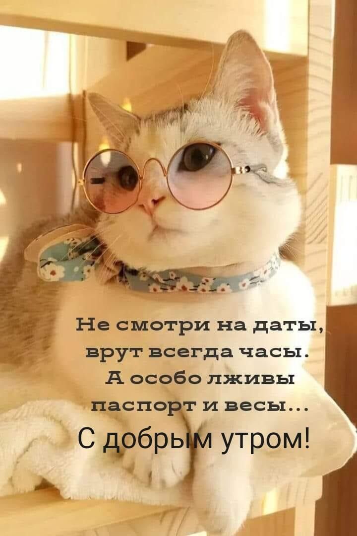 Не смотри на даты врут всегда часы А особо лживы падспо и весы Стбр утром