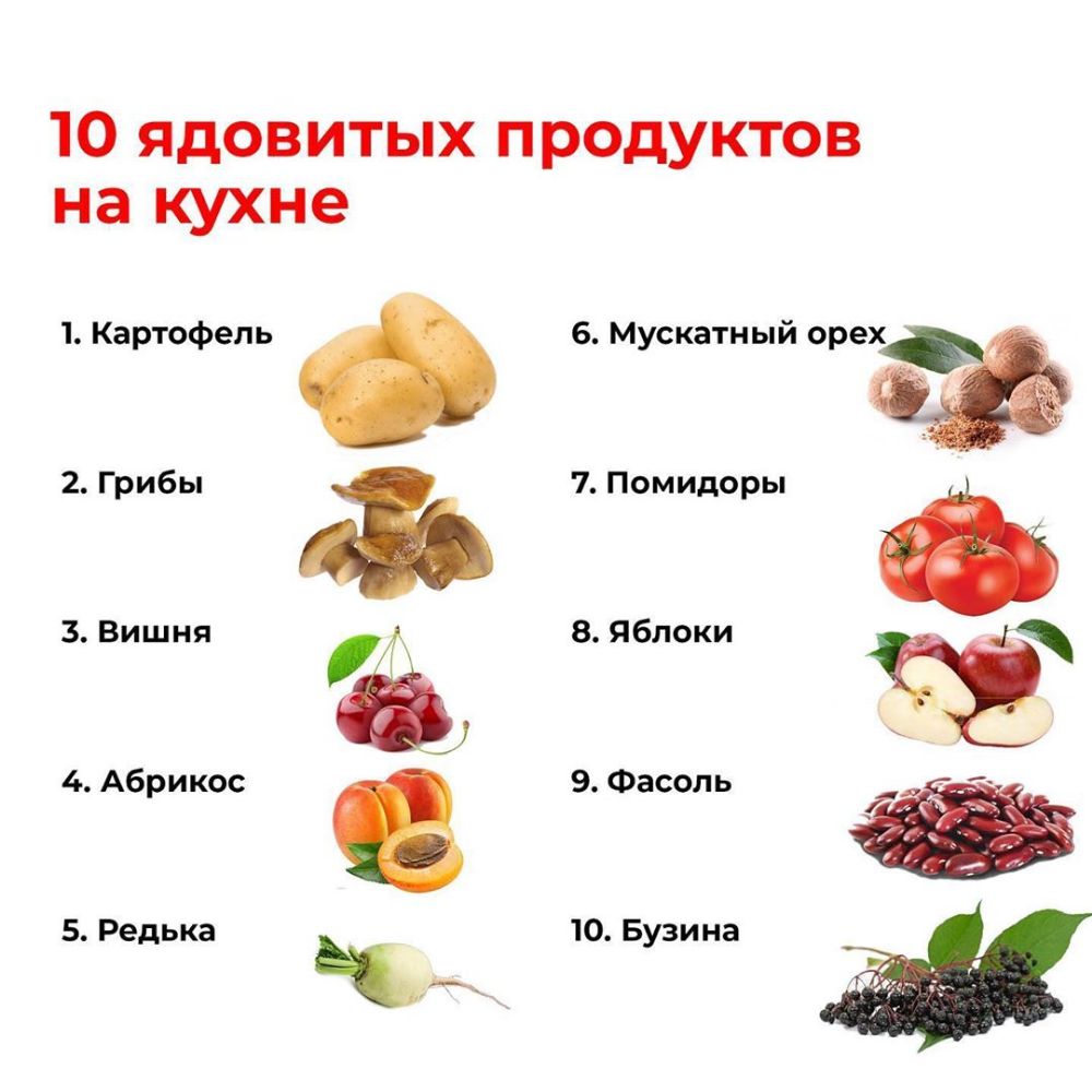 10 ядовитых продуктов на кухне 1 Картофель 2 Грибы 3 Вишня 7 4 Абрикос 5 Редька 6 Мускатный орай 7 Помидоры В Яблоки С 4 3 10 Бузина