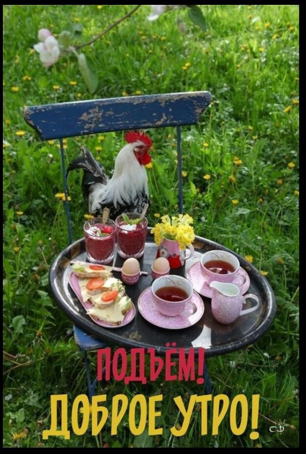 ПЁ Утро