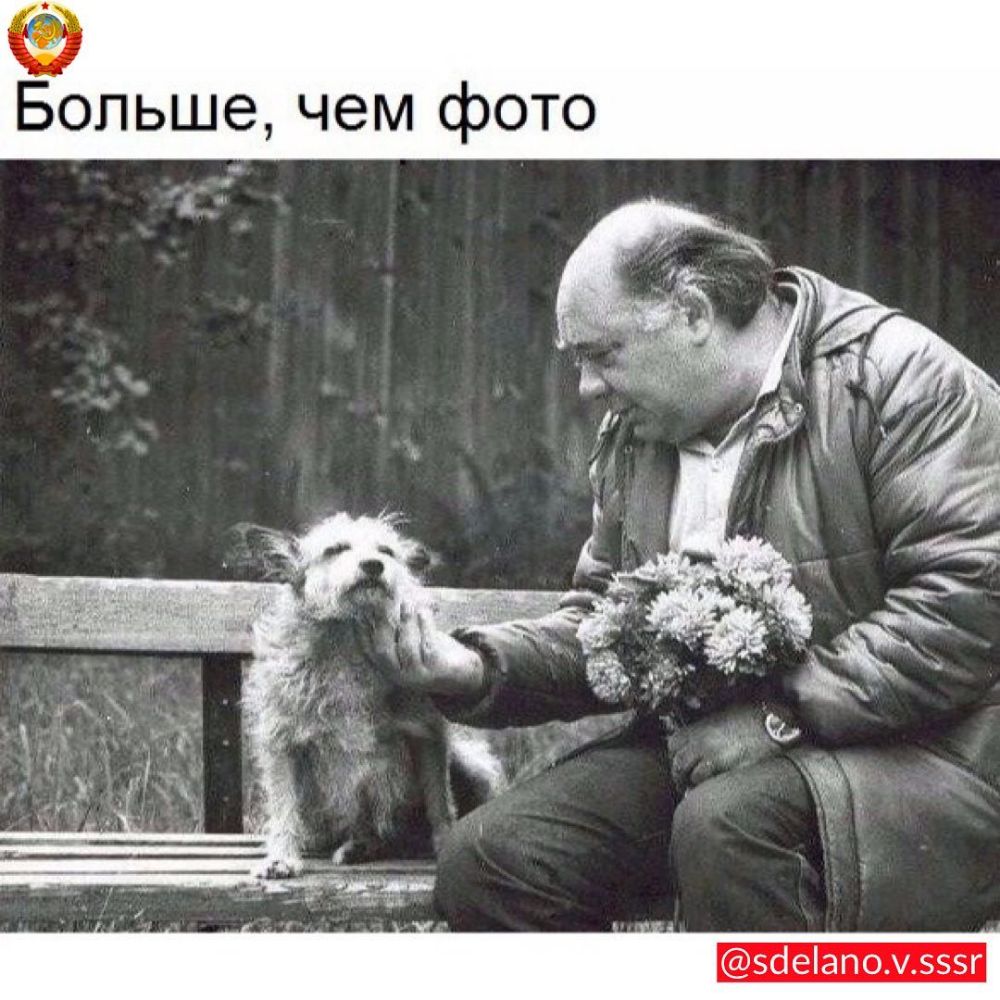 Больше чем фото зсіеіапо55г