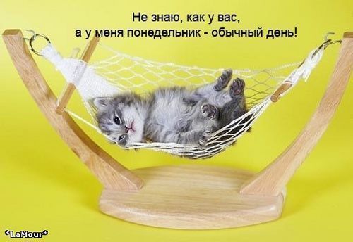 Не знаю как у вас а уменя понедельник обычный день