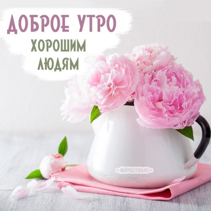 ДОБРОЕ УТРО ХОРОШИМ АЮАЯ М