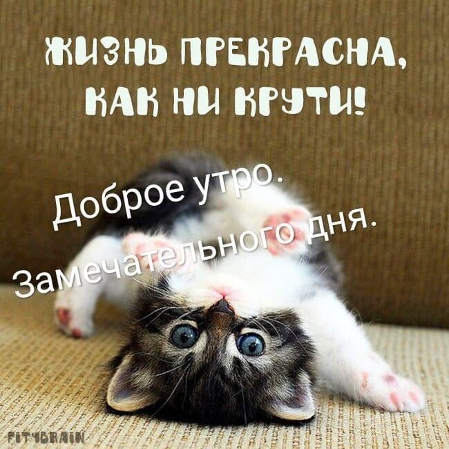 ЖИЗНЬ ПРББРАСНА БАБ НМ БРЗШ