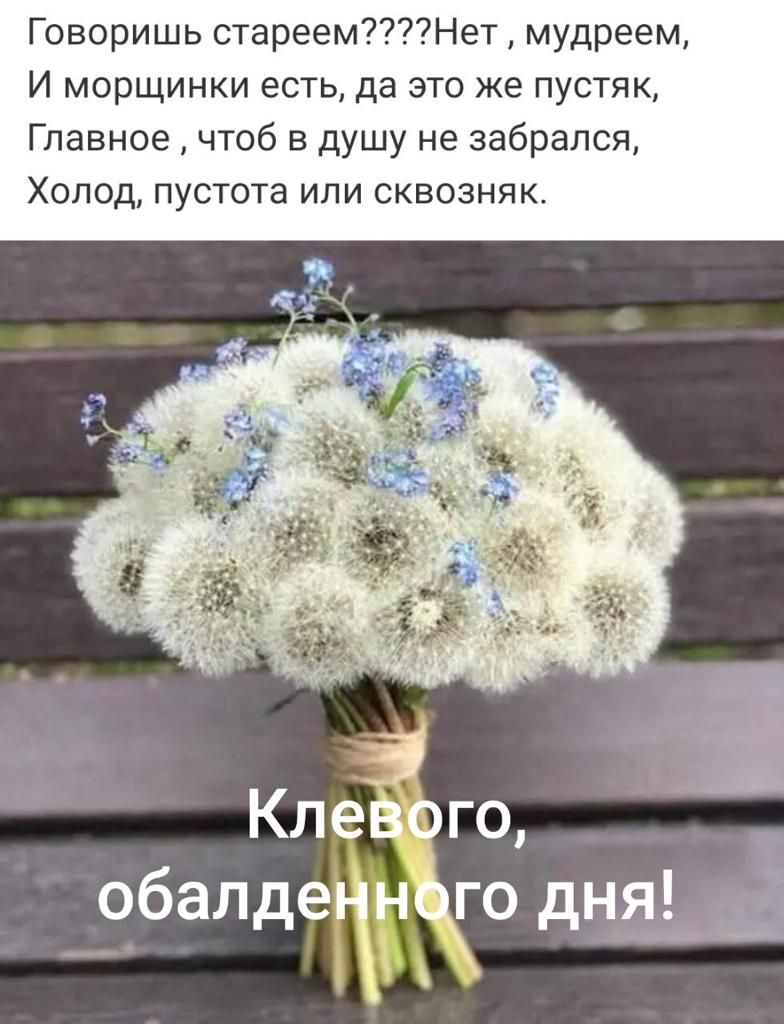 Говоришь стареемНет мудреем И морщинки есть да это же пустяк Главное чтоб в душу не забрался Холод пустота или сквозняк Клевого обалденнщо дня