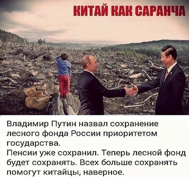 извещает палатка сдам Владимир Путин назвал сохранение лесного фонда России приоритетом государства Пенсии уже сохранил Теперь лесной фонд будет сохранять Всех больше сохранять помогут китайцы наверное