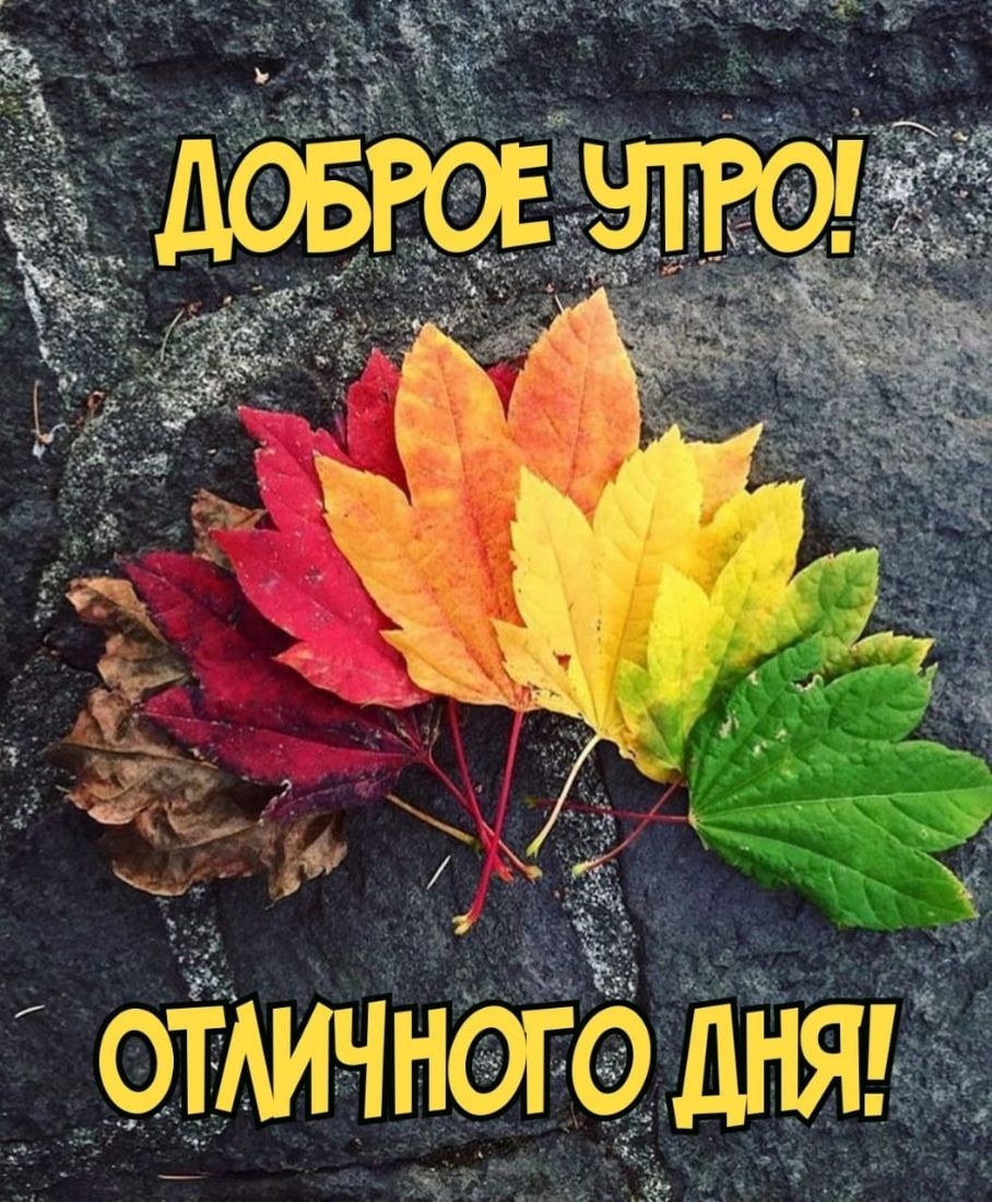 ч _ДНЯ ЧН ТМ О Ё_