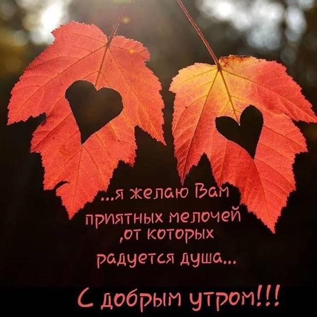 1 я желаю Бонч приятных мелочей от которых радуется ДЧШОА добрым утром