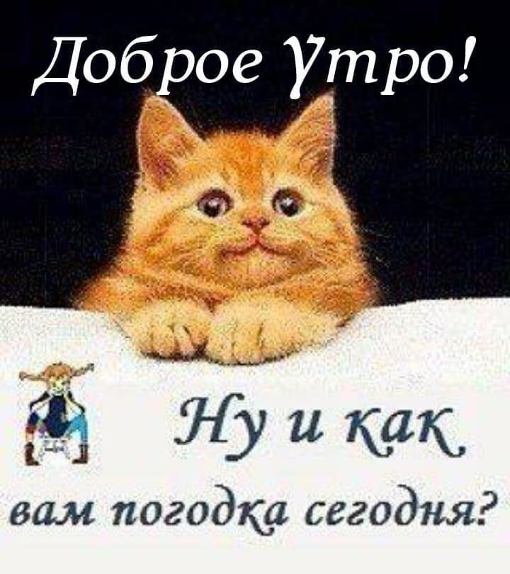 Доб сое Ут ро м л и вам погодка сегодня