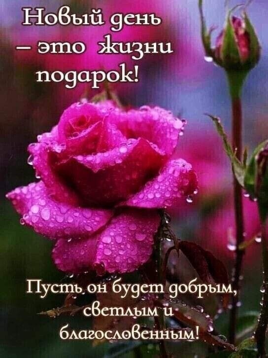 3ъ1іі 961 115 это Жизни по9аро1с 49 С О Пустр он бУЭЁЧд 9обрь1м _ в сВстАъіміі ч бАщцАоВсннъщ _