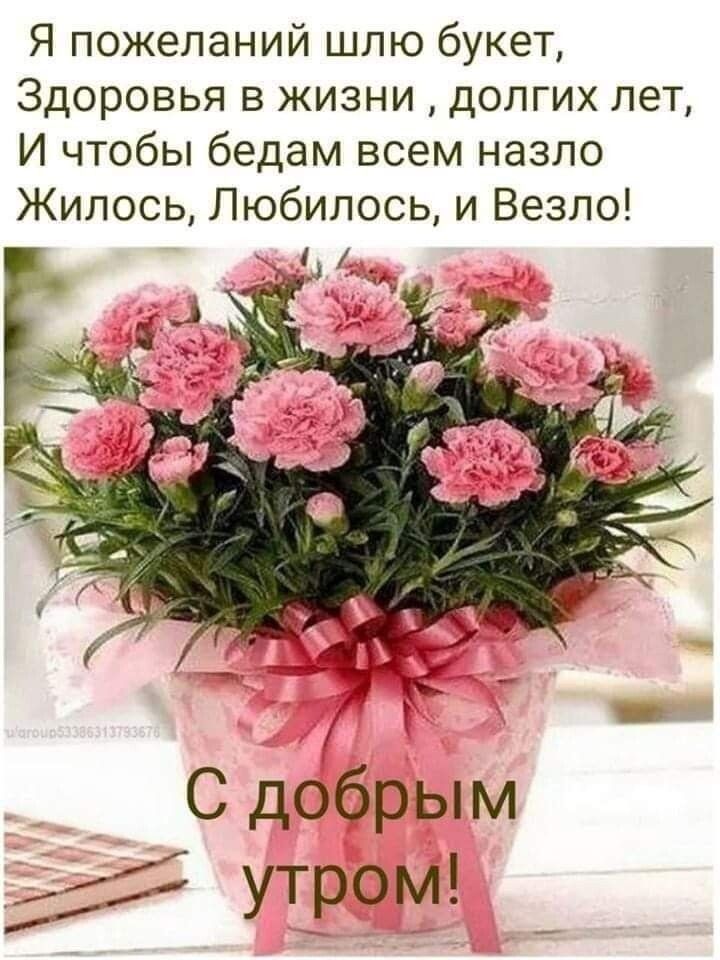 Я пожеланий шлю букет Здоровья в жизни долгих лет И чтобы бедам всем назло Жилось Любилось и Везло С добрым утром