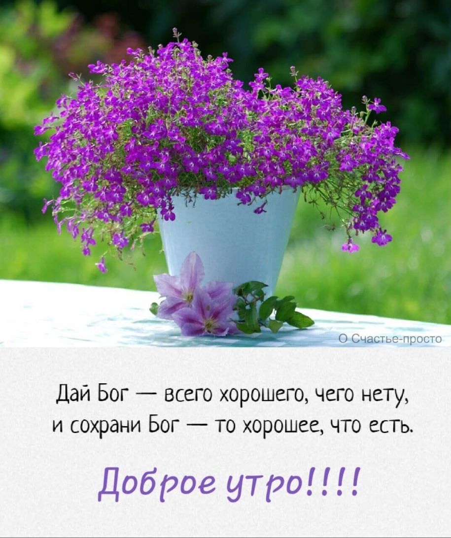 Дай Бог всего хорошего чего нету и сохрани Бог то хорошее что есть Доброе утро