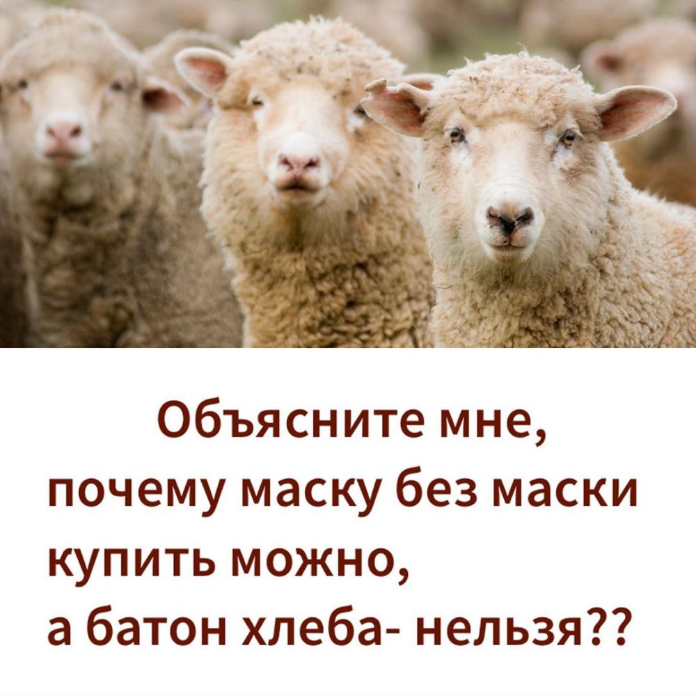 Объясните мне почему маску без маски купить можно а батон хлеба нельзя