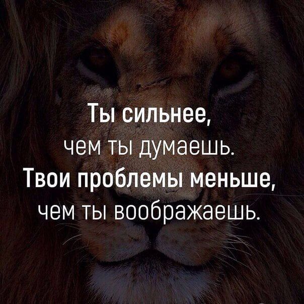 Ты сильнее чем ты думаешь Твои проблемы меньше чем ты воображаешь