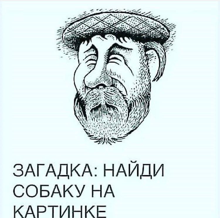 ЗАГАДКА НАЙДИ СОБАКУ НА КАРТИНКЕ