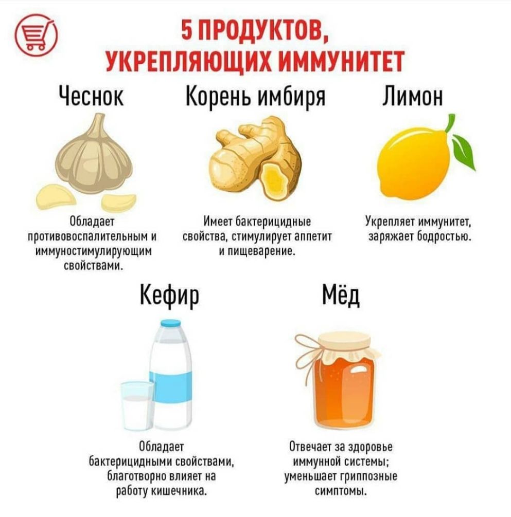 впродуктов укрепляющих иммунитет Чеснок Корень имбиря Лимон 1 Обладает Имеет бактерицидные Укрепляет иммунитет противовиспалительным и свойства стимулирует аппетит заряжает бодростью иммуностимулирующим и пищеварение свойствами Кефир Мёд Обладает Отвечает за здоровье бактерицидными свойствами иммунной системы благотворно влияет на уменьшает гриппозные РЗЁПТУ КИШеЧНИКЗ ВИМПЮМЫ