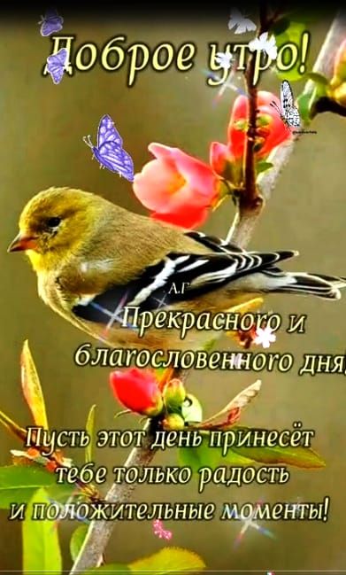 х _ благословешот ДНЯ 731 _ПЧСГЬ этот Деньпринесет те_б_еатолько радость и паша Жительные анты
