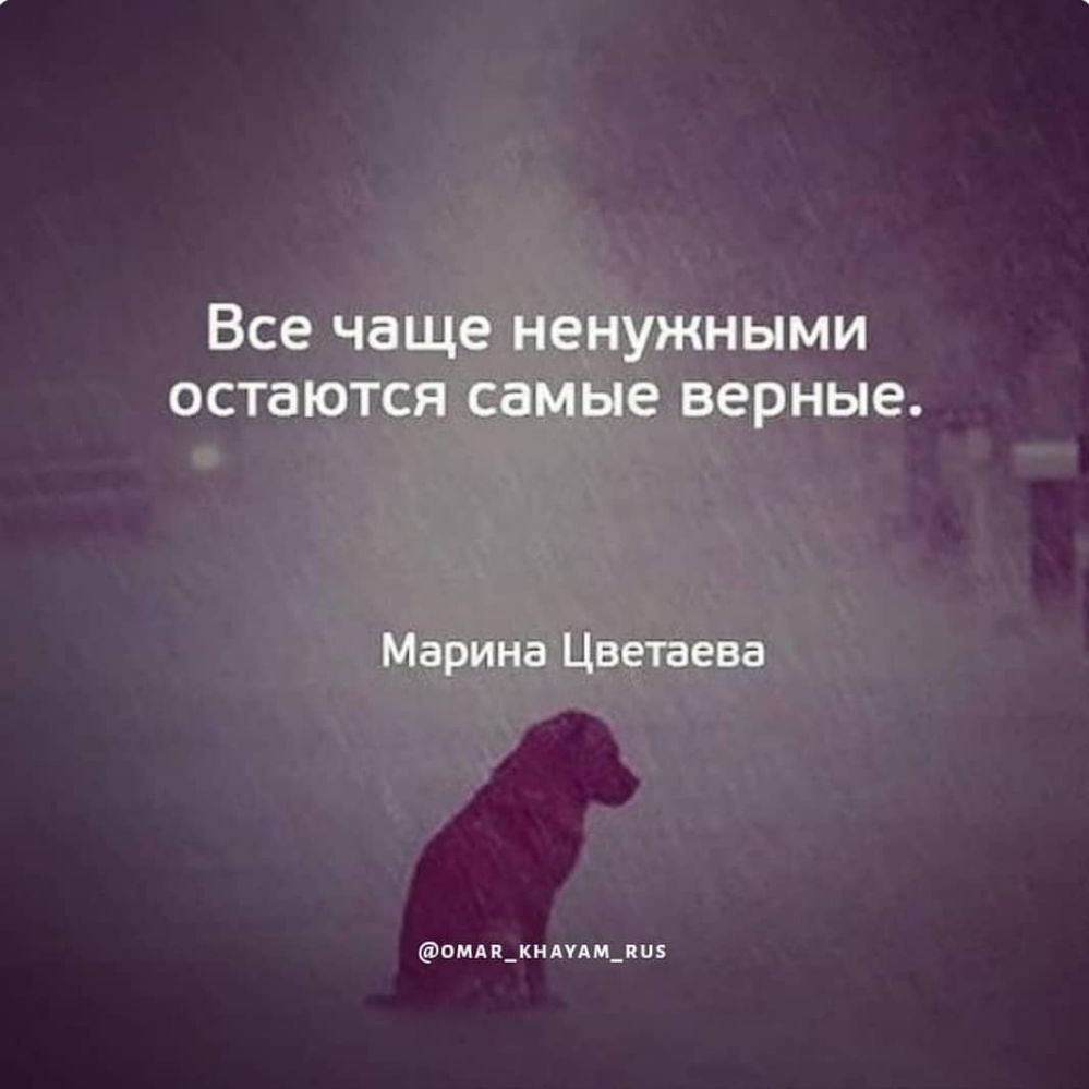 омп_кндпм_пив