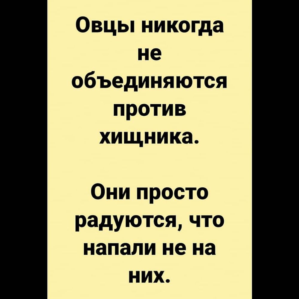 Овцы никогда не объединяются против хищника Они просто радуются что напали не на них