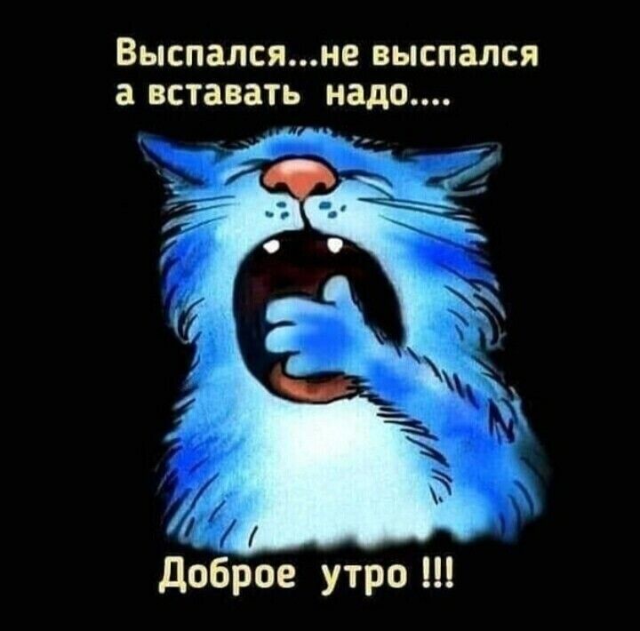Выспалсяне ВЫСПЗЛСЯ а ВСТЗВЗТЬ надо А0 доброе утро