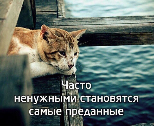 Насто НЕНУЖНЫМИХСТЭНОВЯТСЯ СЕМЬЮ ГРЕДЭННЫЕ
