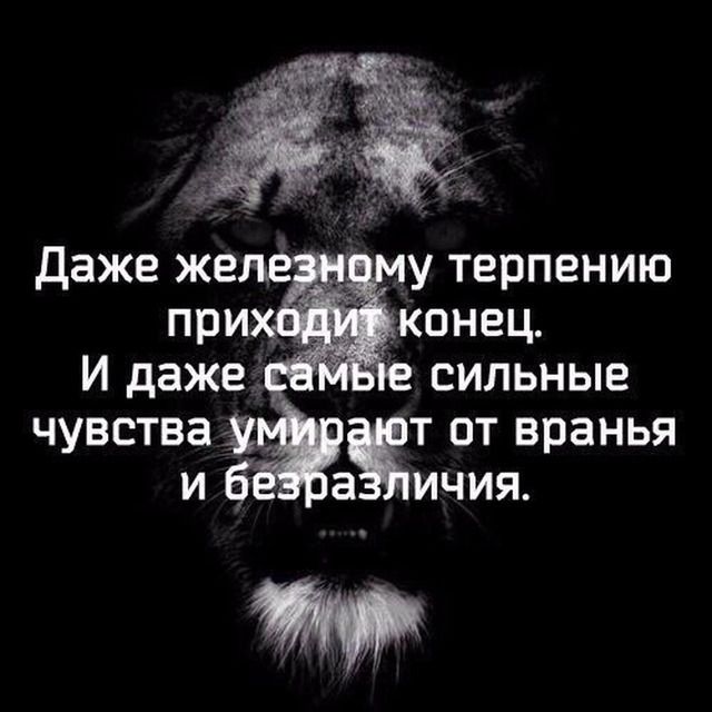 у терпению при Конец 1 у сильные чувства т от вранья и 6 а ичия