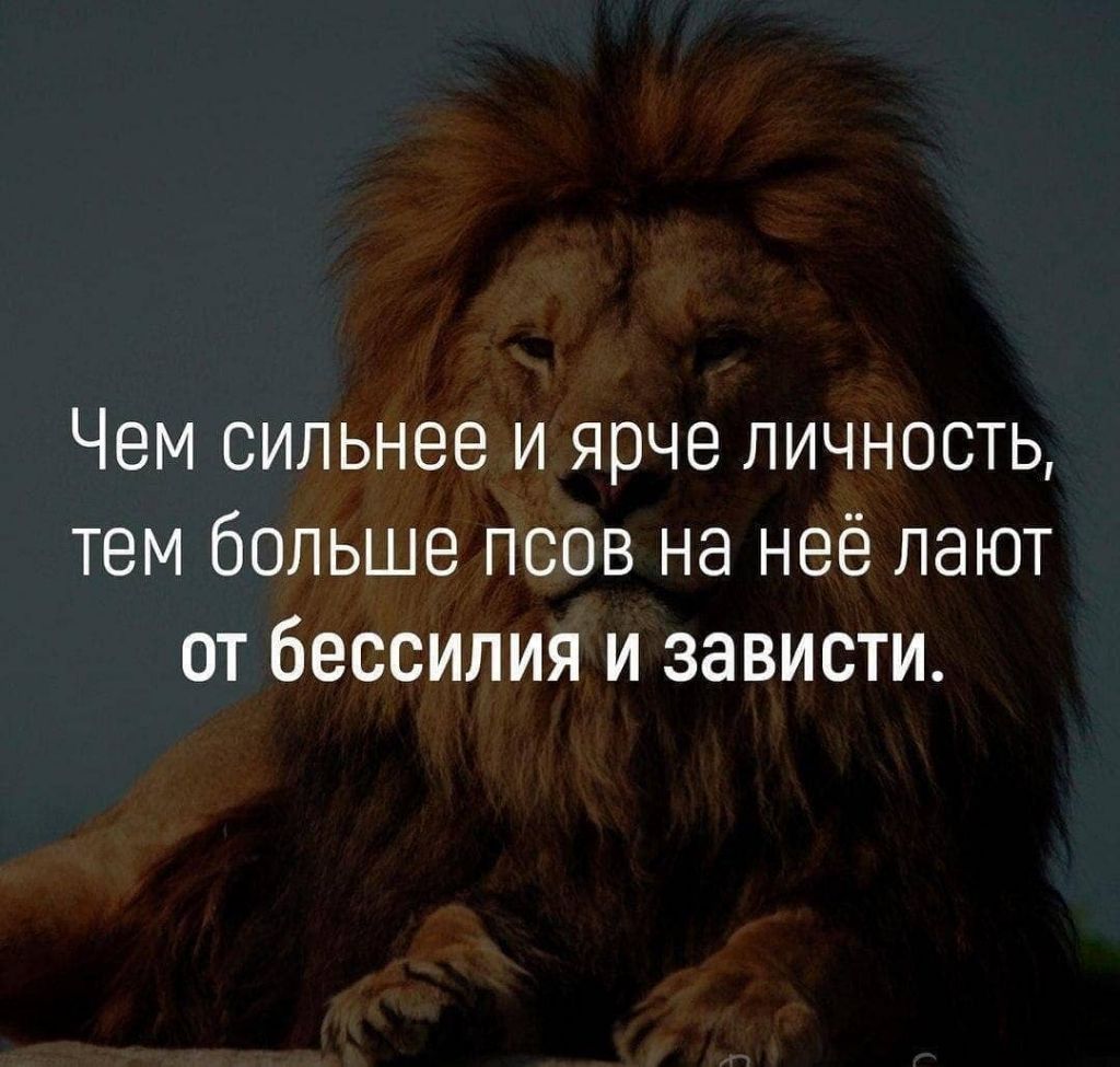 Чем сильнее и ярче личность тем больше псов на неё лают от бессилия и зависти