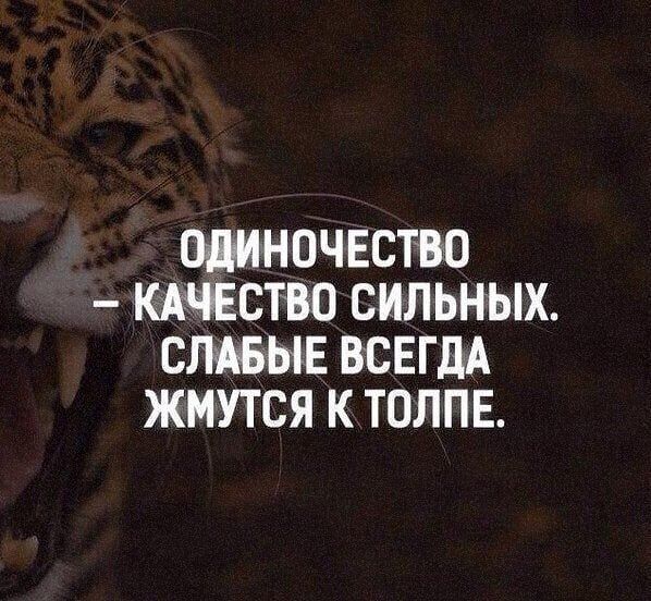 ОЛИНОЧЕСТВО СТВ0 СИЛЬНЫХ СЫЕ ВСЕГДА ЖМУТСЯ К ТОЛПЕ