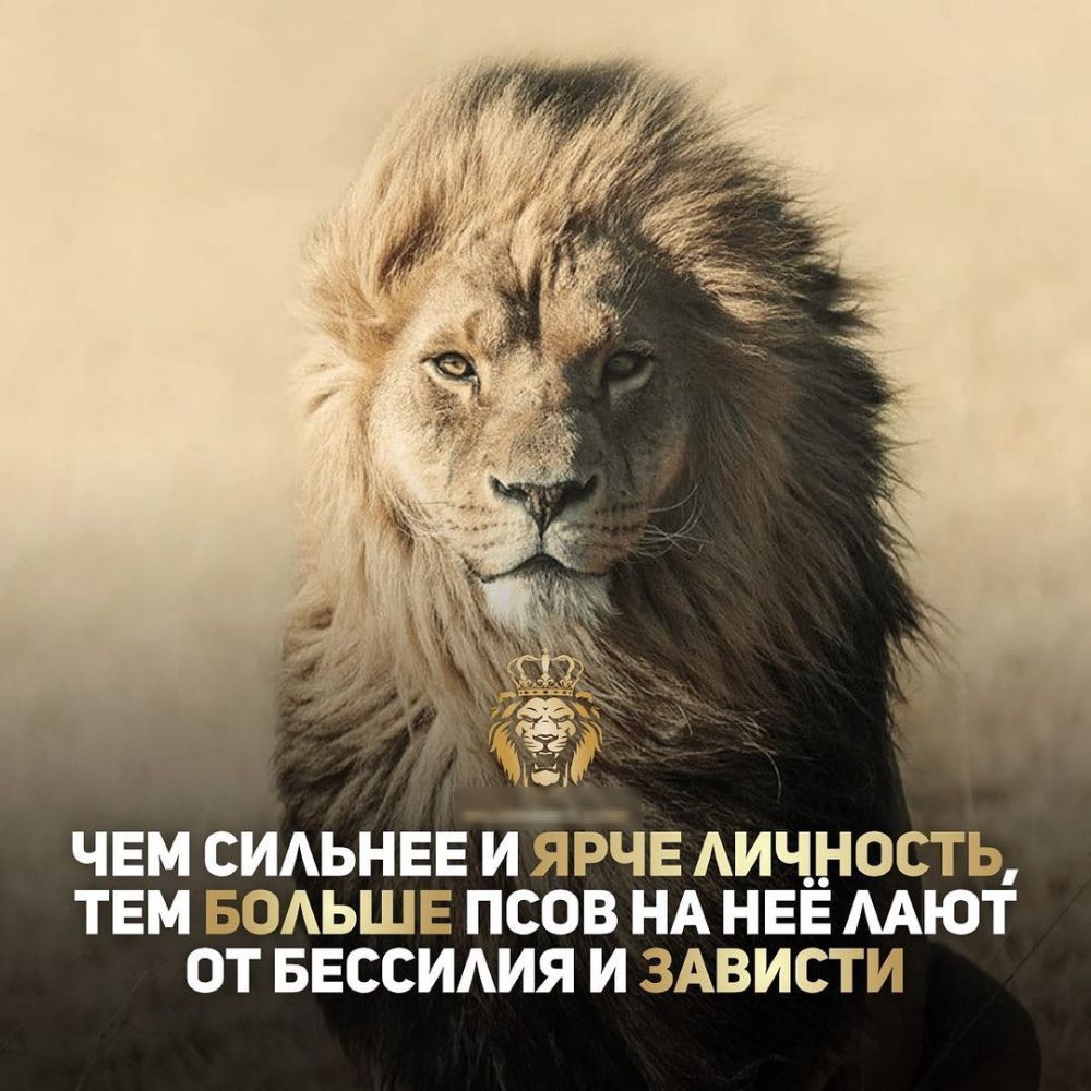 6 чвм сидьнвв иЪрчв Аич__ность твм БОАЬШЕ псов НА НЕЕ мют от ввссидия и 3Ависти