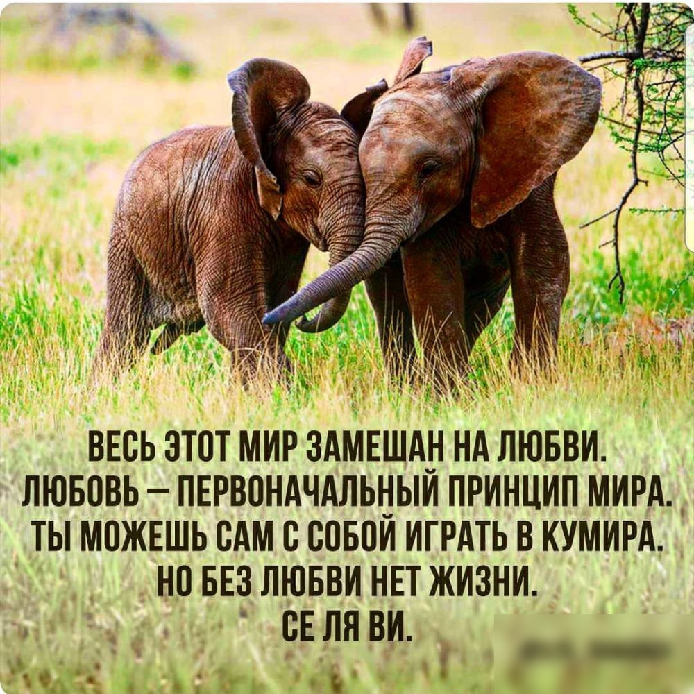 внсь этот мир здмншдн нд лювви лювовь пнрвондчдпьныи принцип мирд ты можншь сАм совои игрдть в кумирд _ новвзлюввинвтжизни снляви А Ъ _ в