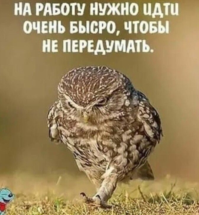 НА РАБОТУ НУЖНО НАШ ОЧЕНЬ БЫОРО ЧТОБЫ НЕ ПЕРЕАУМАТЪ Гу д