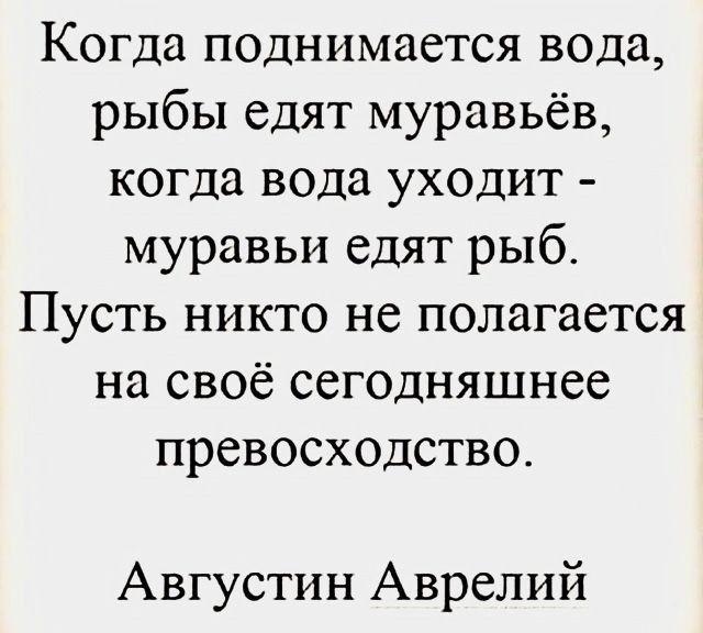 Когда поднимается вода рыбы едят муравьёв когда вода уходит муравьи едят рыб Пусть никто не полагается на своё сегодняшнее превосходство Августин Аврелий