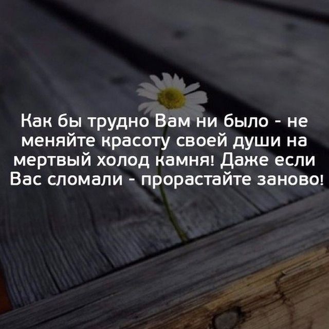 Как бы трудно Вам ни было не меняйте красоту своей души на мертвый холод камнт Даже если Вас сломали прорастайте зановш