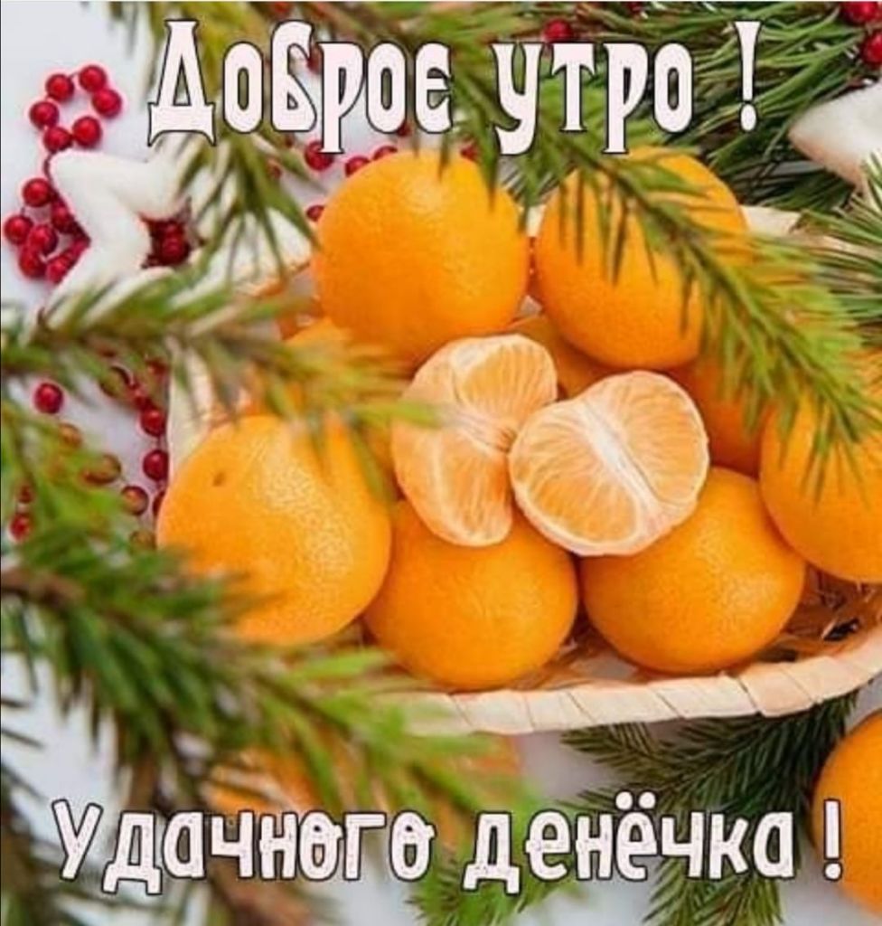утро дЧНщбдд дЁНЁЧКО